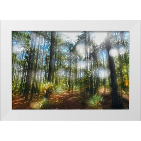 Blurry Forest White Modern Wood Framed Art Print by Malone, Will