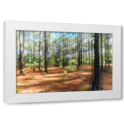 Blurry Forest 2 White Modern Wood Framed Art Print by Malone, Will