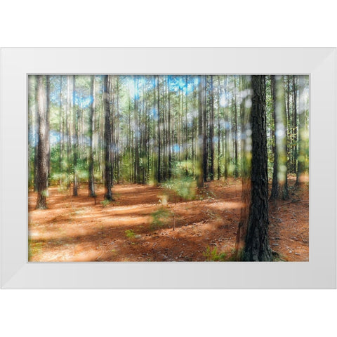 Blurry Forest 2 White Modern Wood Framed Art Print by Malone, Will