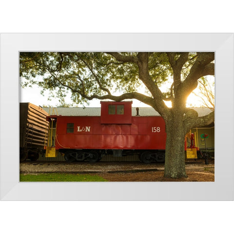 Caboose White Modern Wood Framed Art Print by Malone, Will