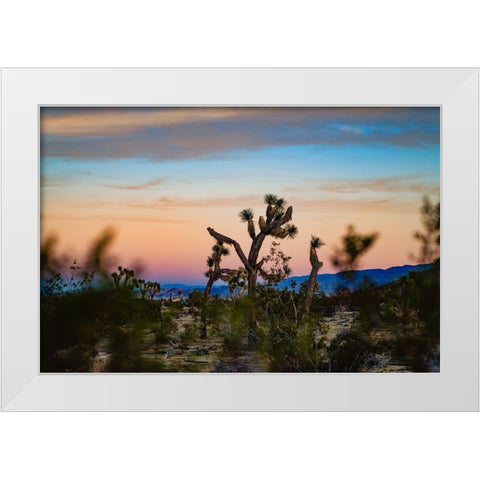 Sunset Dance White Modern Wood Framed Art Print by Malone, Will