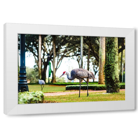 2 Birds and a Lizard White Modern Wood Framed Art Print by Malone, Will