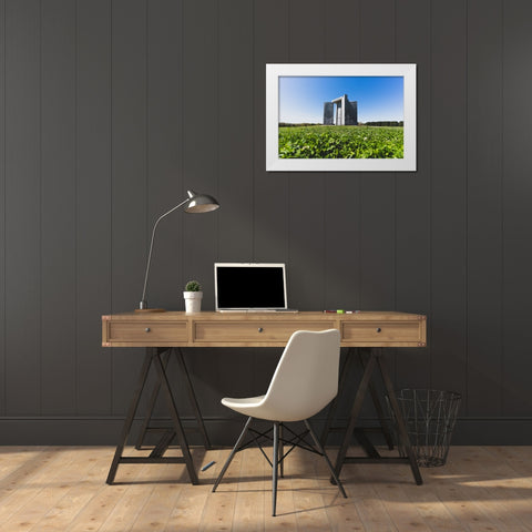 Guidestones White Modern Wood Framed Art Print by Malone, Will