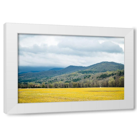 Yellow Fields White Modern Wood Framed Art Print by Malone, Will