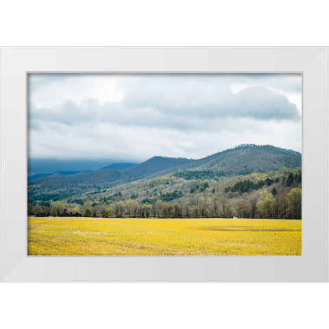 Yellow Fields White Modern Wood Framed Art Print by Malone, Will