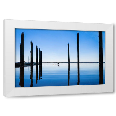 Take Flight White Modern Wood Framed Art Print by Malone, Will