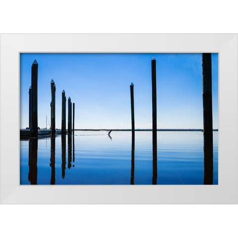 Take Flight White Modern Wood Framed Art Print by Malone, Will