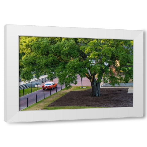 Camaro Through The Park White Modern Wood Framed Art Print by Malone, Will