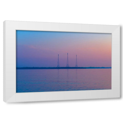 Antennae White Modern Wood Framed Art Print by Malone, Will