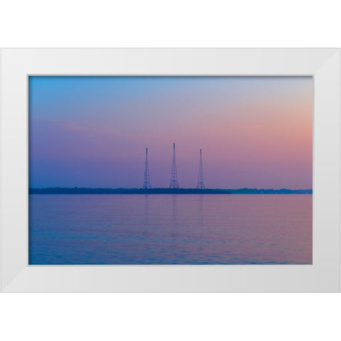 Antennae White Modern Wood Framed Art Print by Malone, Will