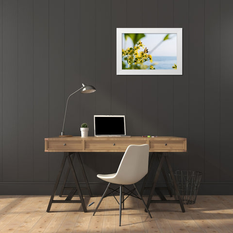 Monarch White Modern Wood Framed Art Print by Malone, Will
