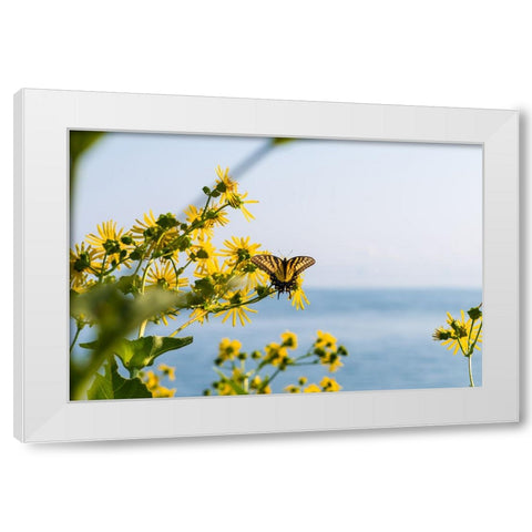 Monarch 2 White Modern Wood Framed Art Print by Malone, Will