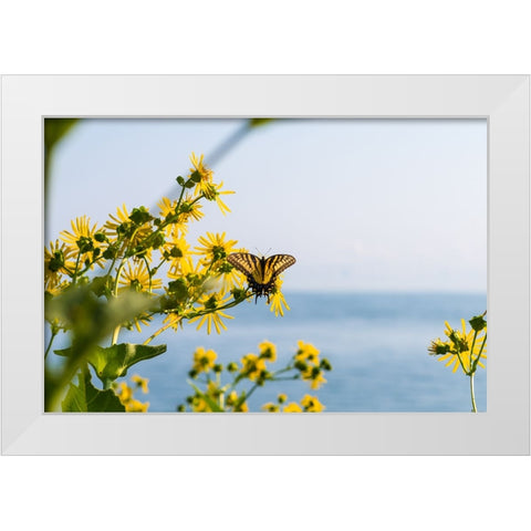 Monarch 2 White Modern Wood Framed Art Print by Malone, Will