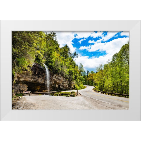 Bridal Veil Falls White Modern Wood Framed Art Print by Malone, Will