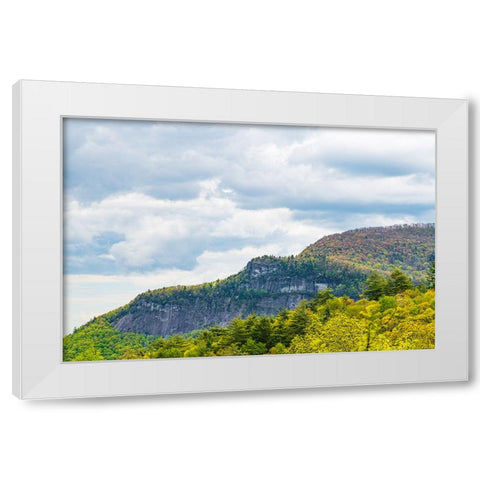 Ridge White Modern Wood Framed Art Print by Malone, Will