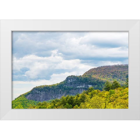 Ridge White Modern Wood Framed Art Print by Malone, Will