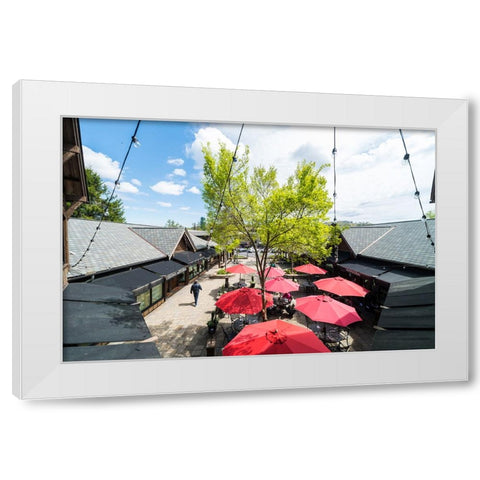 Sunny Lunch White Modern Wood Framed Art Print by Malone, Will