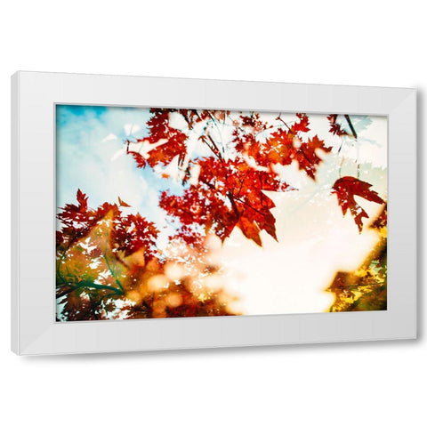 Autumn Leaves White Modern Wood Framed Art Print by Malone, Will