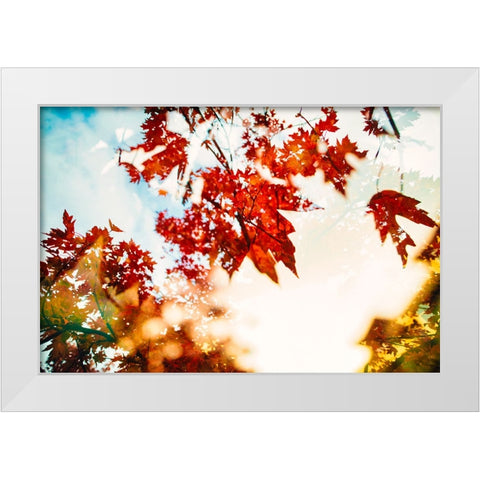 Autumn Leaves White Modern Wood Framed Art Print by Malone, Will