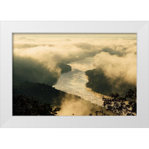 Golden Morning 2 White Modern Wood Framed Art Print by Malone, Will
