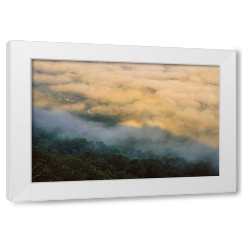 Golden Morning 4 White Modern Wood Framed Art Print by Malone, Will