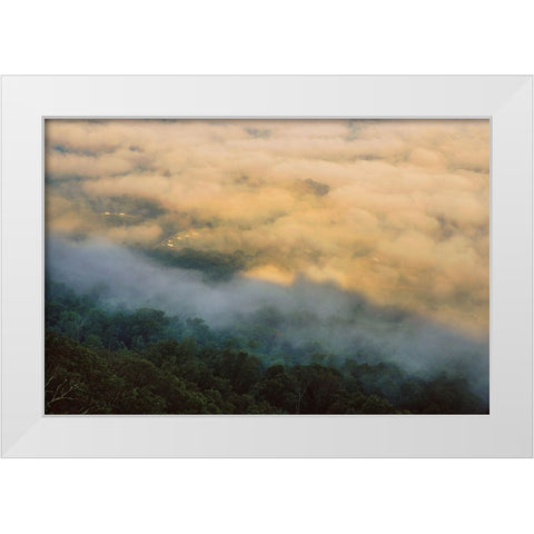 Golden Morning 4 White Modern Wood Framed Art Print by Malone, Will