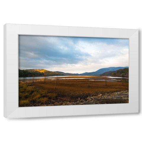Dried Out White Modern Wood Framed Art Print by Malone, Will