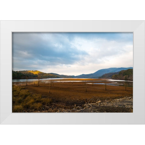 Dried Out White Modern Wood Framed Art Print by Malone, Will