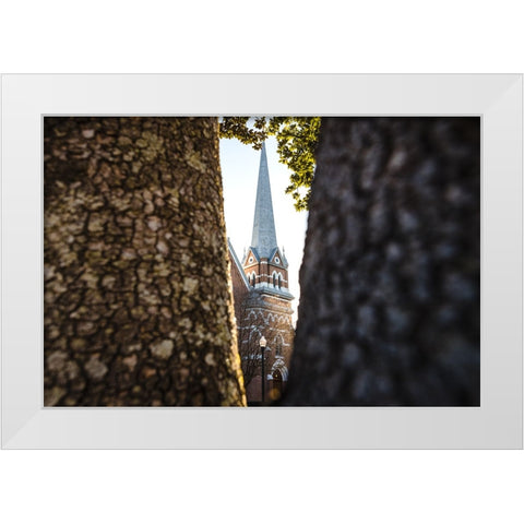 Through the Trees White Modern Wood Framed Art Print by Malone, Will