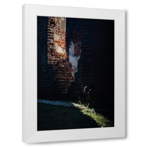 Sunlight White Modern Wood Framed Art Print by Malone, Will