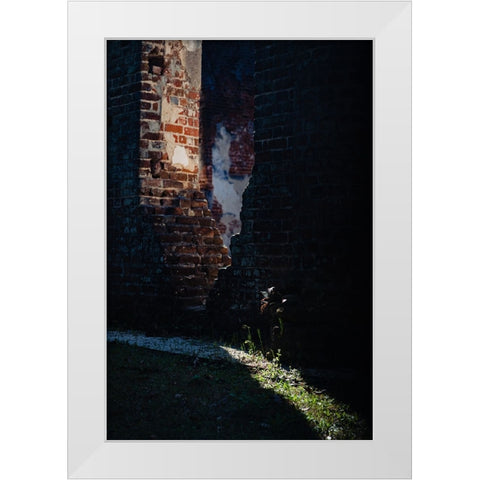 Sunlight White Modern Wood Framed Art Print by Malone, Will