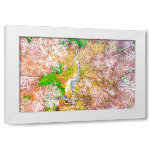 Aerial Creek White Modern Wood Framed Art Print by Malone, Will