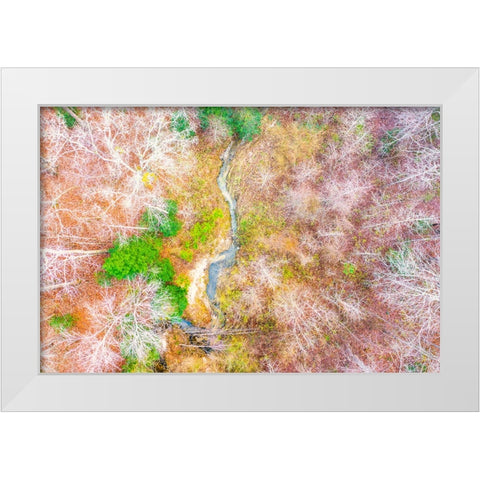 Aerial Creek White Modern Wood Framed Art Print by Malone, Will
