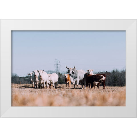 Drawing a Crowd Re-edit White Modern Wood Framed Art Print by Malone, Will