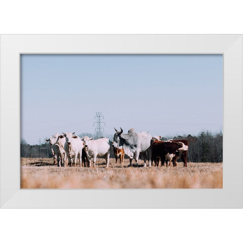 Drawing a Crowd 2 Re-edit White Modern Wood Framed Art Print by Malone, Will
