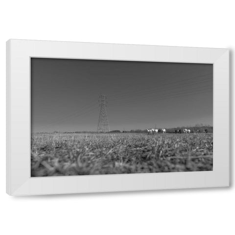 Here They Come White Modern Wood Framed Art Print by Malone, Will