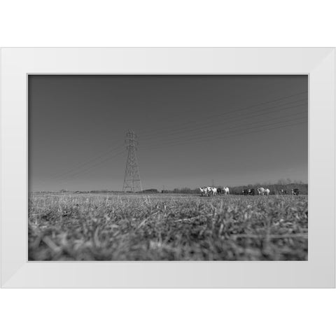 Here They Come White Modern Wood Framed Art Print by Malone, Will