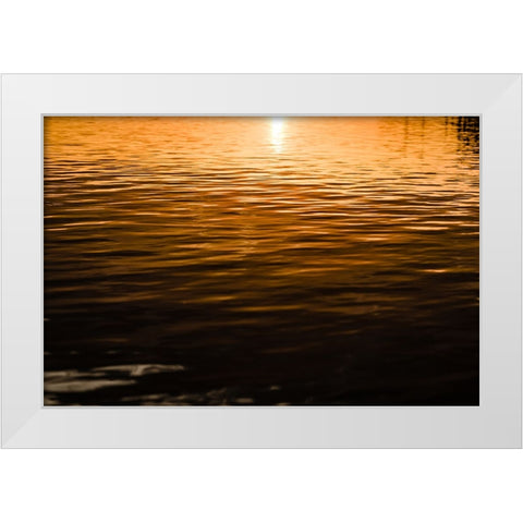 Golden 3 White Modern Wood Framed Art Print by Malone, Will