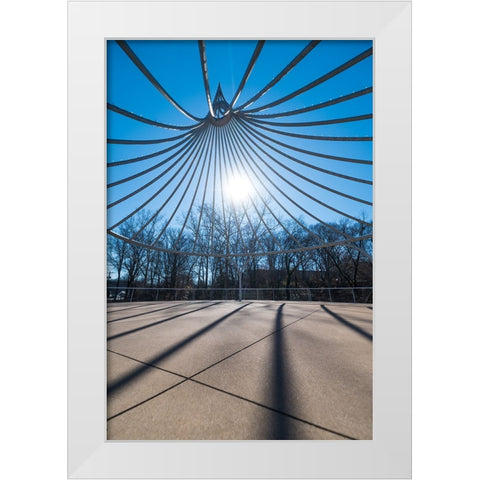 Cancer Survivor Park White Modern Wood Framed Art Print by Malone, Will