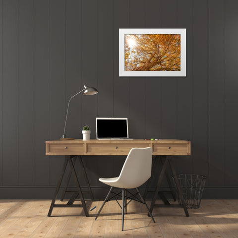 Grand Fall 2 White Modern Wood Framed Art Print by Malone, Will