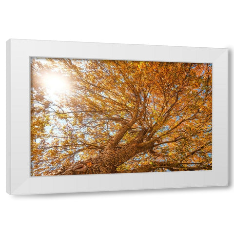 Grand Fall 2 White Modern Wood Framed Art Print by Malone, Will