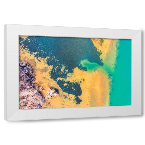 Savannah White Modern Wood Framed Art Print by Malone, Will