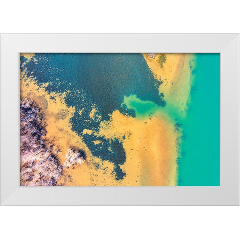 Savannah White Modern Wood Framed Art Print by Malone, Will
