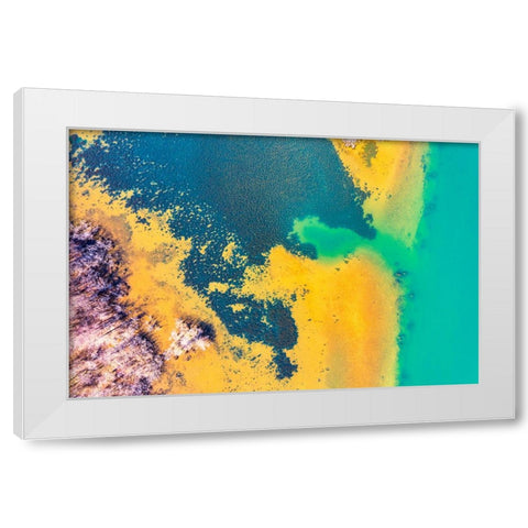 Savannah 2 White Modern Wood Framed Art Print by Malone, Will