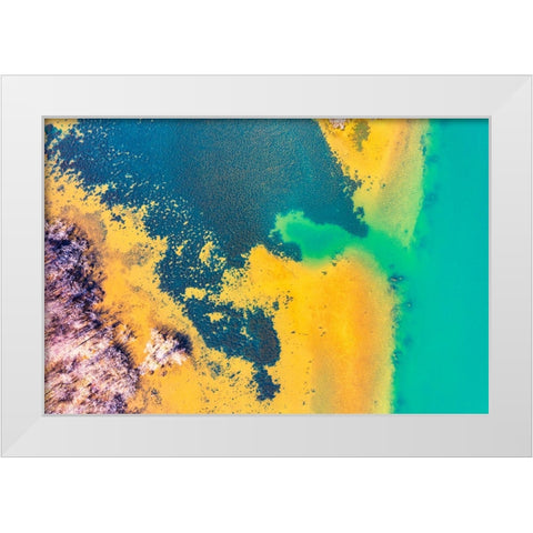 Savannah 2 White Modern Wood Framed Art Print by Malone, Will