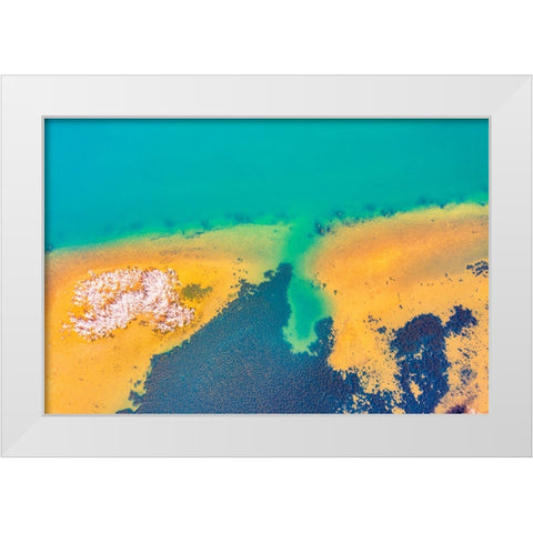 Savannah 4 White Modern Wood Framed Art Print by Malone, Will