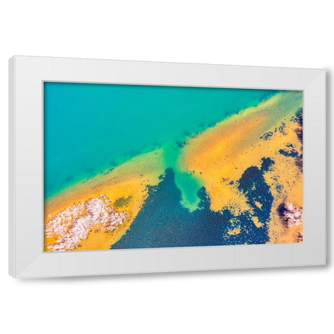 Savannah 5 White Modern Wood Framed Art Print by Malone, Will