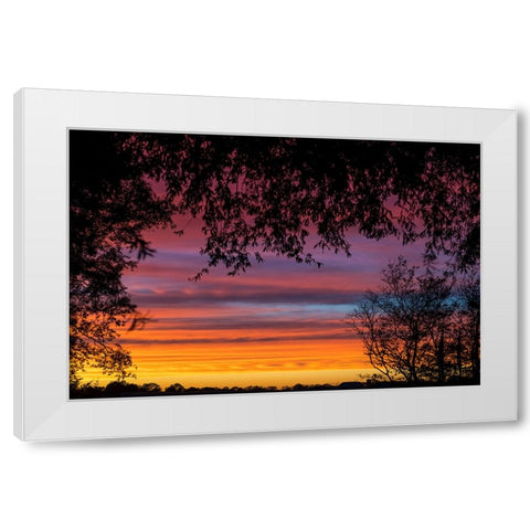 Backyard Sun White Modern Wood Framed Art Print by Malone, Will