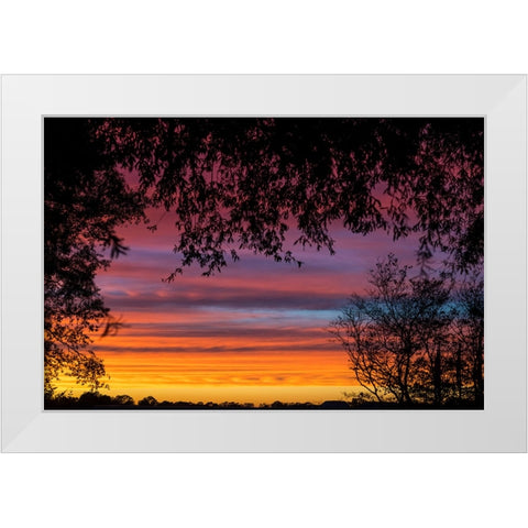 Backyard Sun White Modern Wood Framed Art Print by Malone, Will