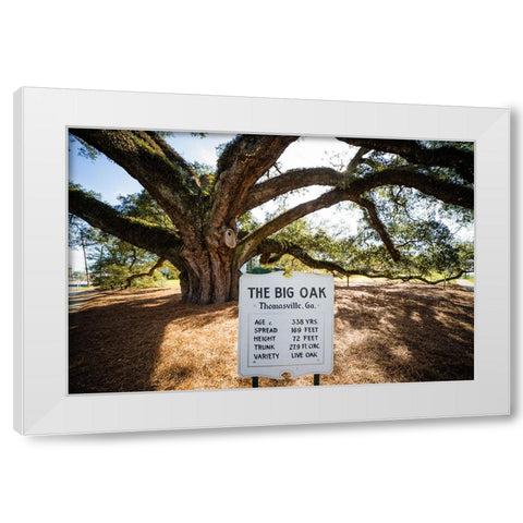 Big Oak 6 White Modern Wood Framed Art Print by Malone, Will